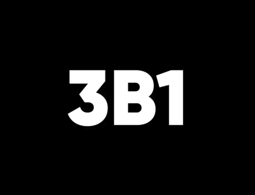 3B1